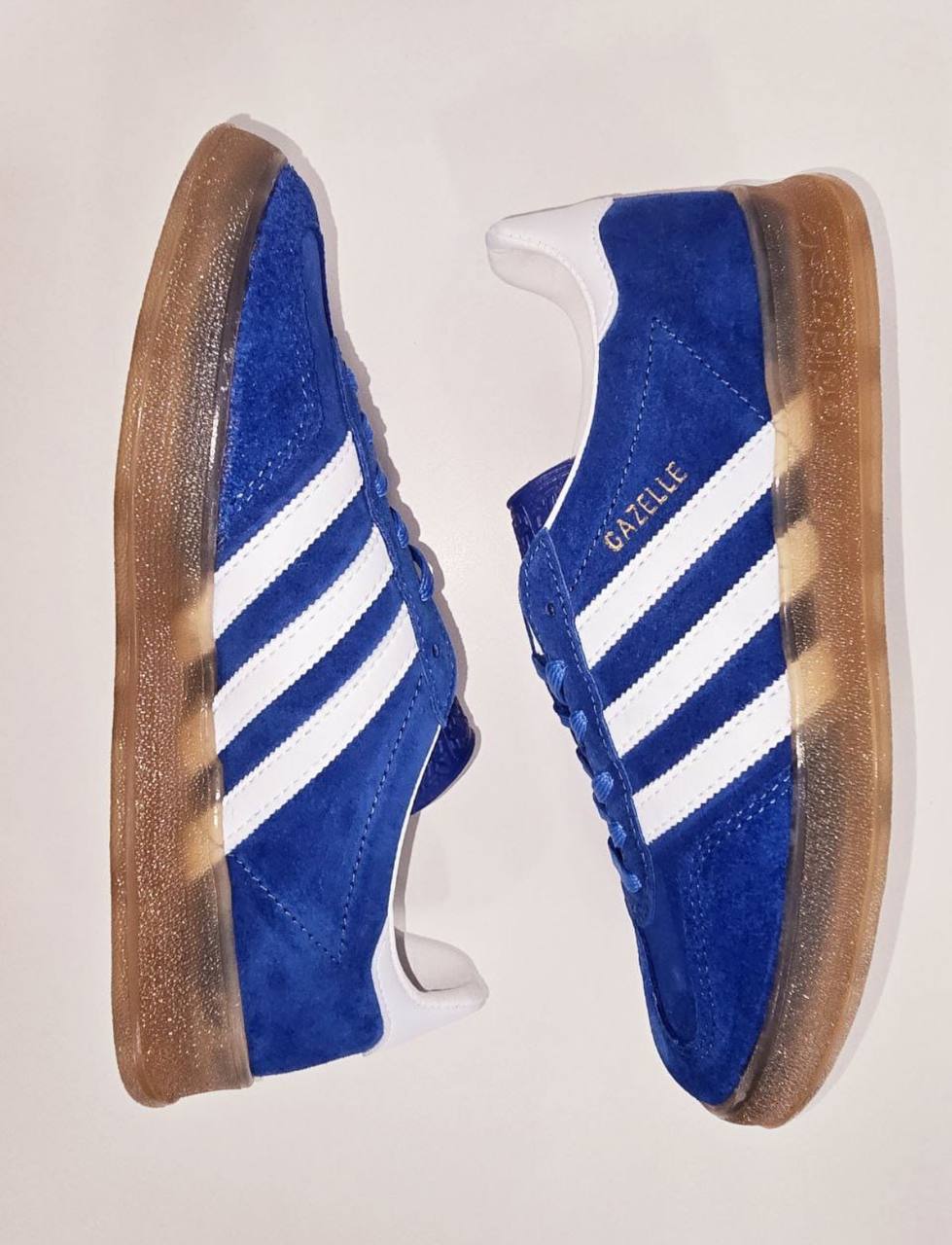 GAZELLE AZUL POTENTE