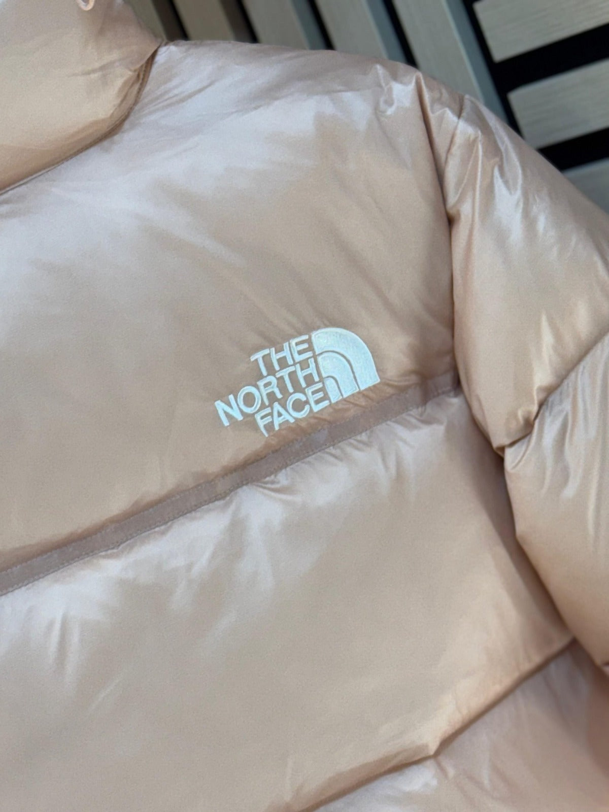Chaqueta The North Face dama